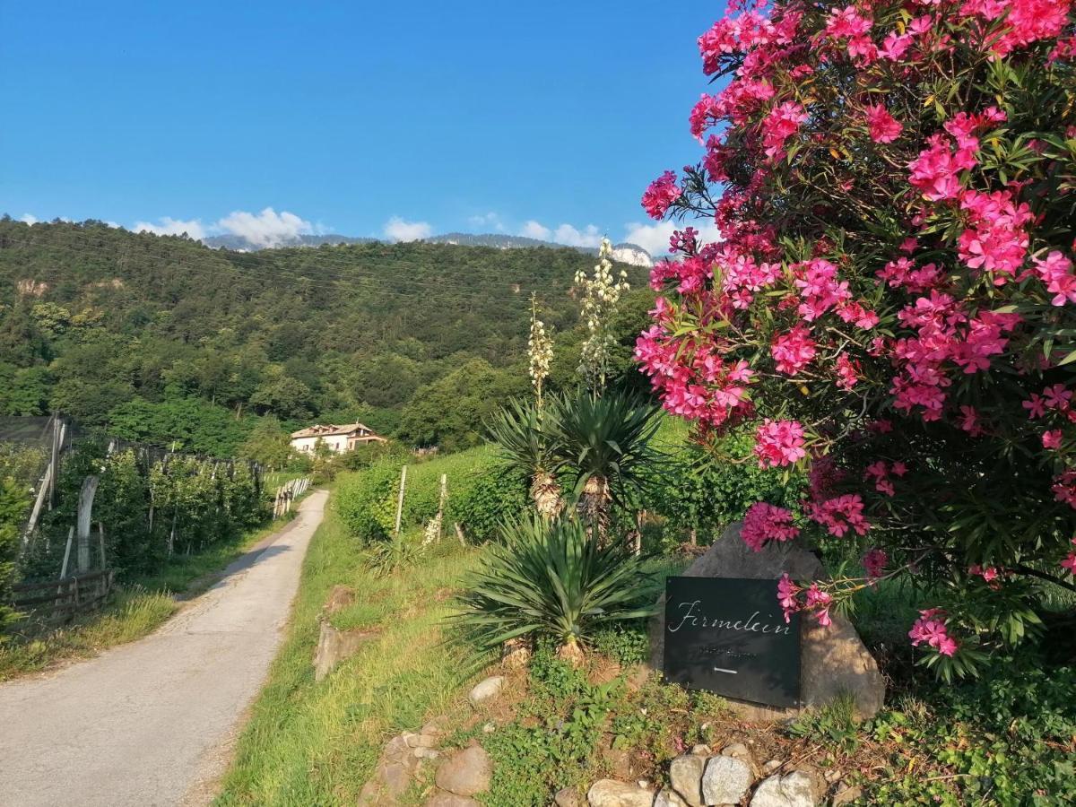 Apartamento Firmelein Appiano Sulla Strada Del Vino Exterior foto